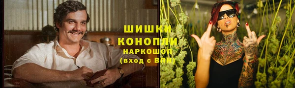 apvp Ельня