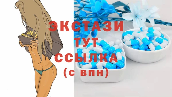 apvp Ельня