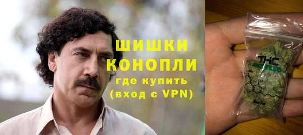 первитин Заводоуковск