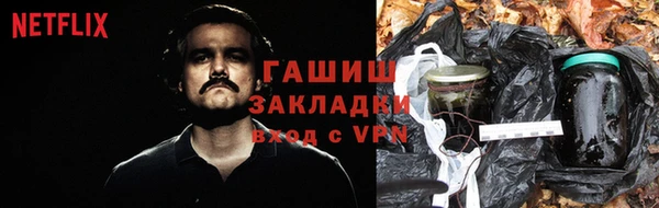 mdpv Елизово