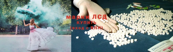 apvp Ельня